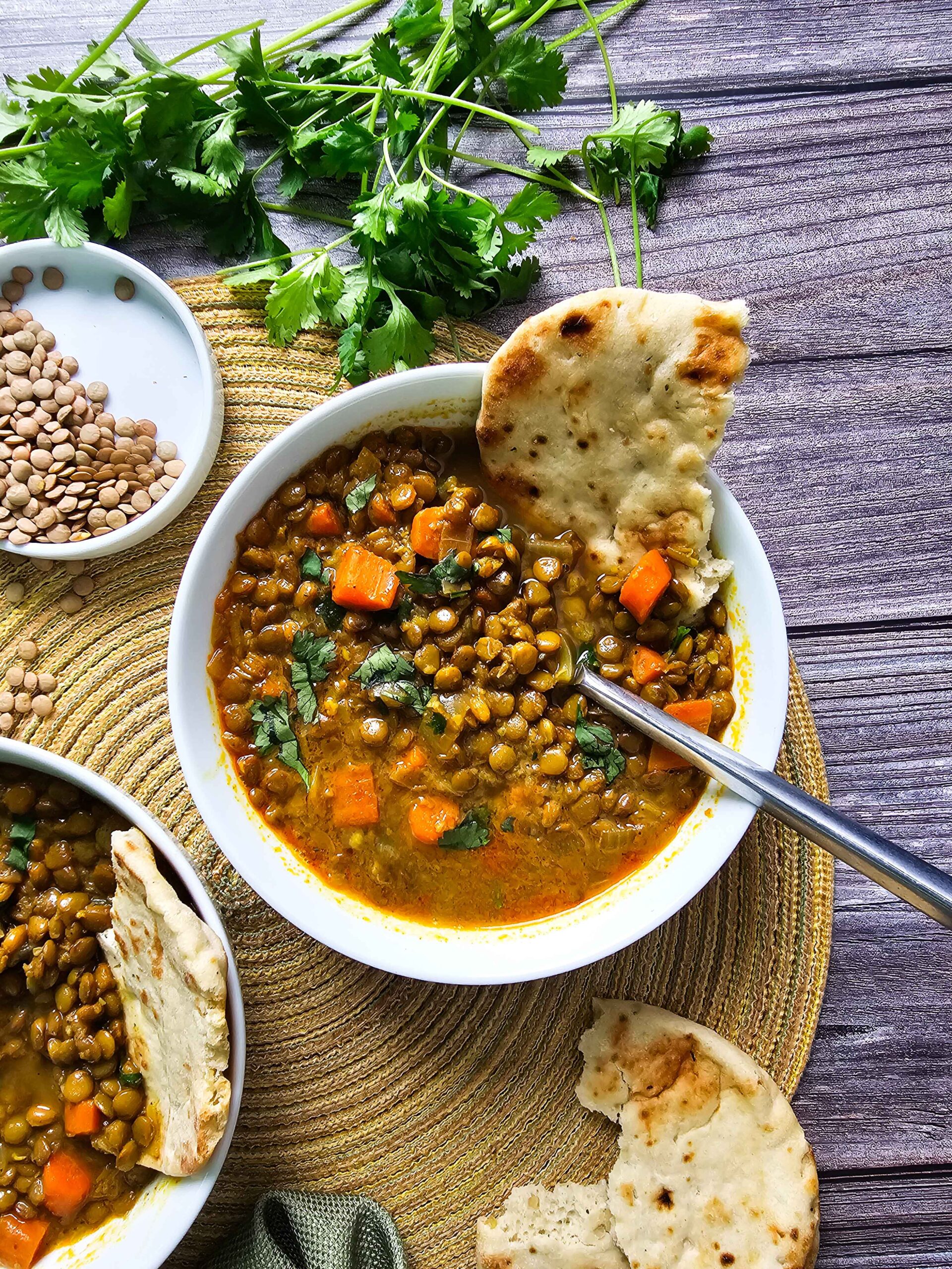 CROCKPOT LENTIL SOUP