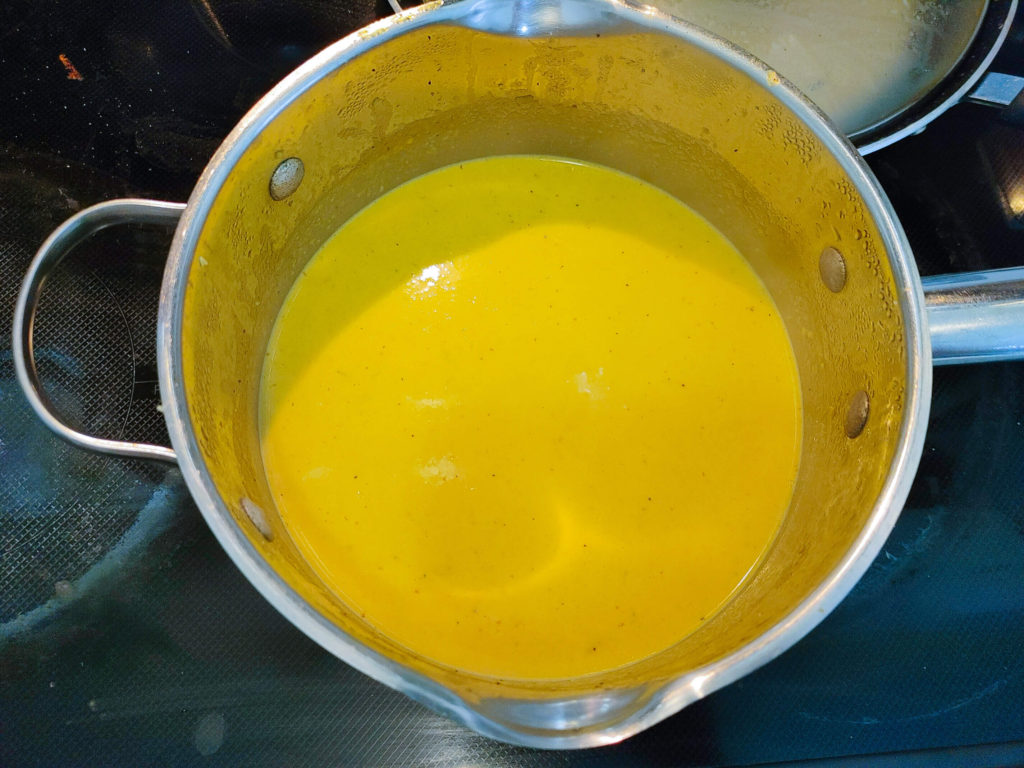 IMMERSION BLENDED PUMPKIN APPLE SOUP