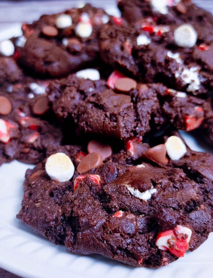 Double Chocolate Chip Cookies