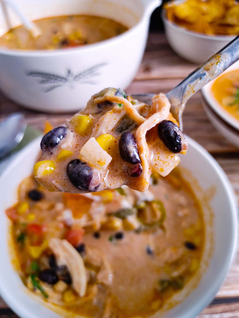 SPOONFUL OF CREAMY CHICKEN ENCHILADA SOUP