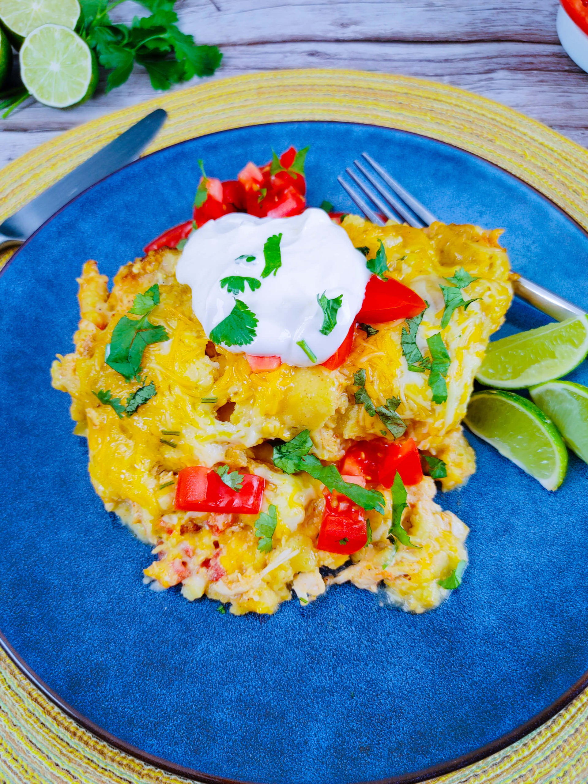 PLATED CHICKEN ENCHILADA