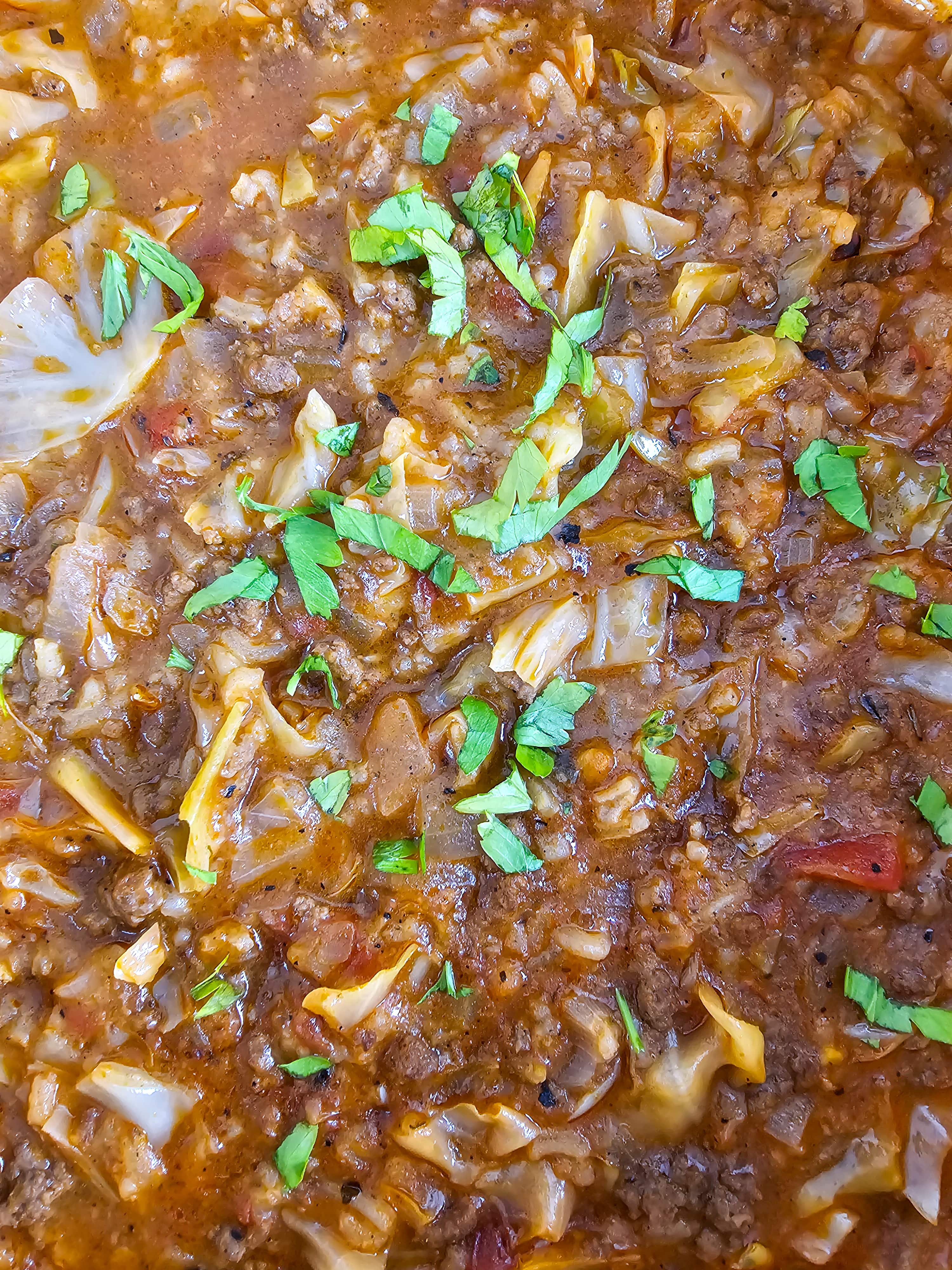 UP CLOSE PICTURE OF CABBAGE ROLL SOUP