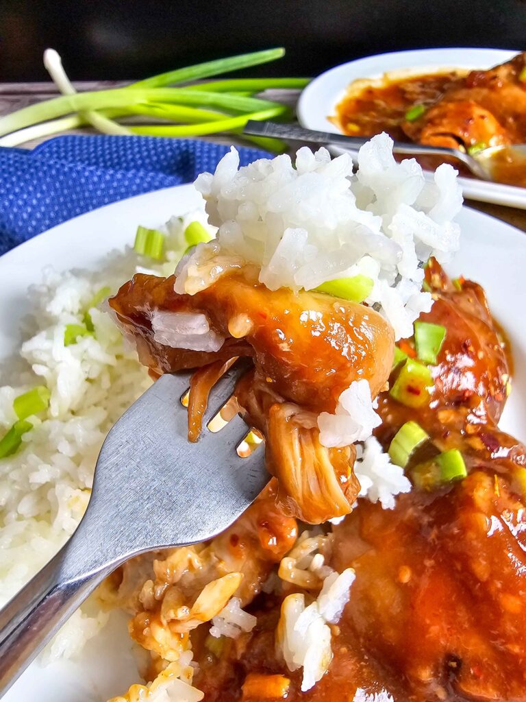 HONEY GALRIC CHICKEN THIGHS ON A FORK WITH RICE