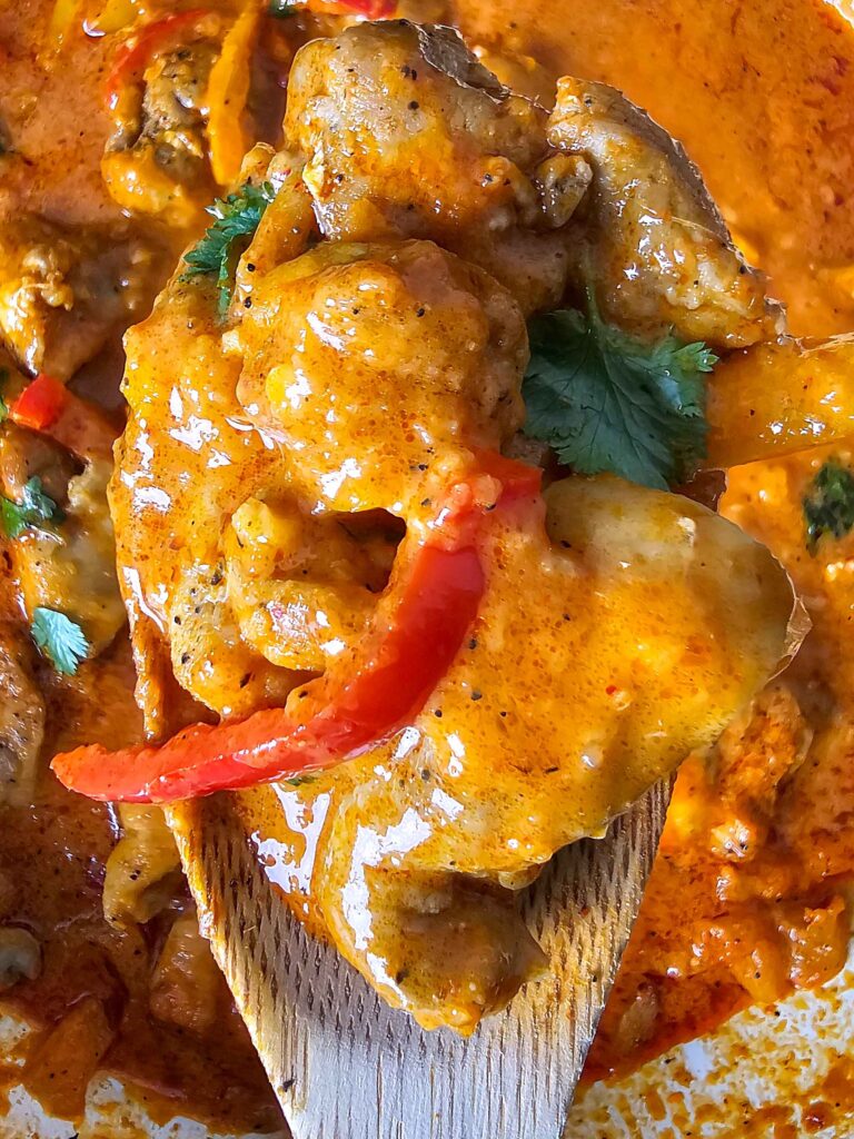 UP CLOSE SPOONFUL OF COCONUT THAI CHICKEN CURRY