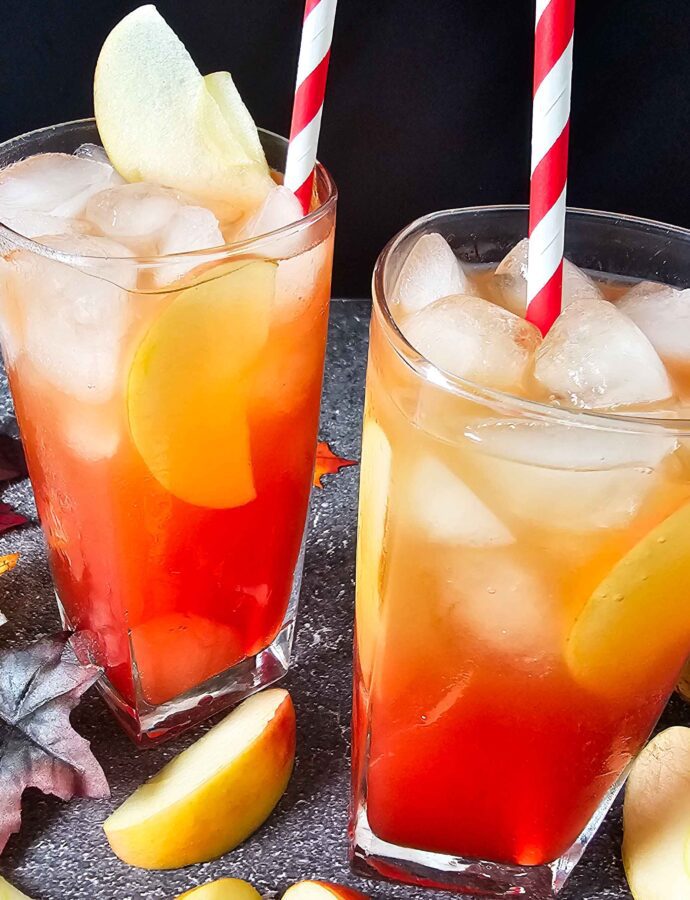 Simple Autumn Apple Cider Cranberry Mocktail