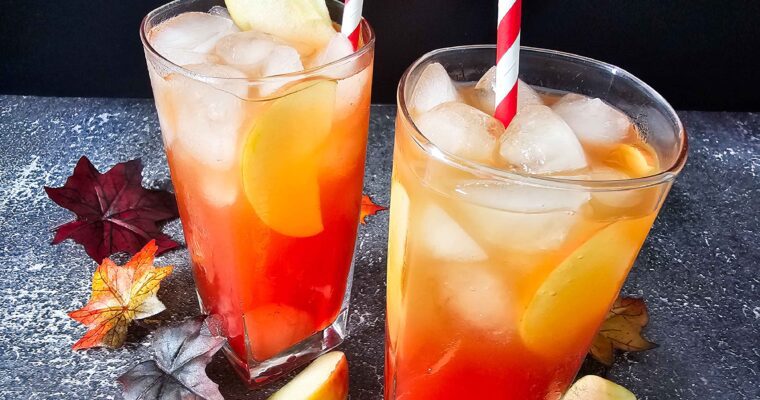 Simple Autumn Apple Cider Cranberry Mocktail