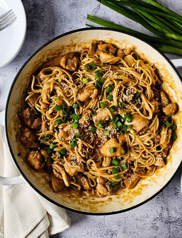 20-Minute Easy Chicken Teriyaki Noodles