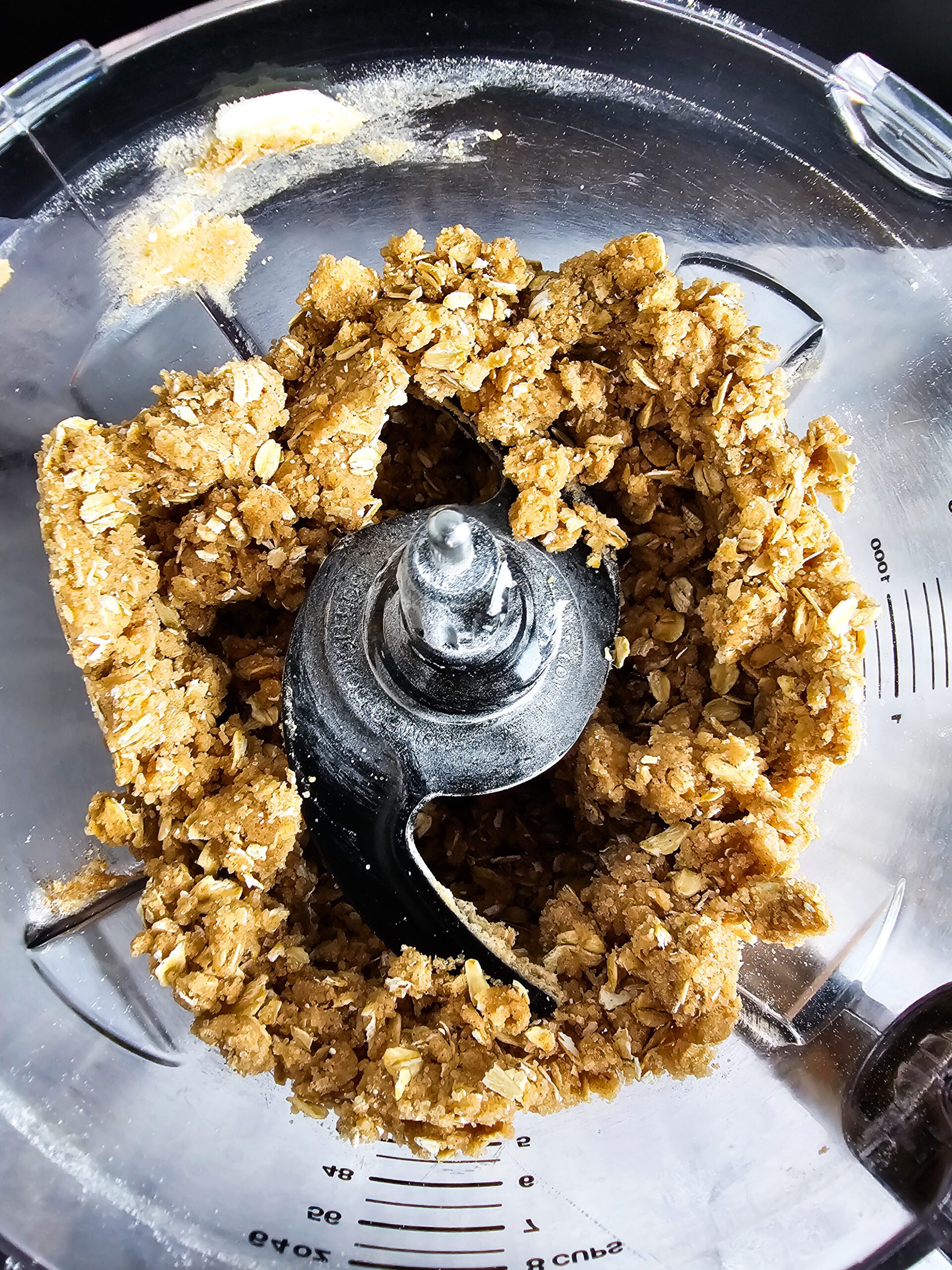 CRUMBLE TOPPING INGREDINTS IN THE FOOD PROCESSOR TO PULSE THE INGREDIENTS TOGETHER